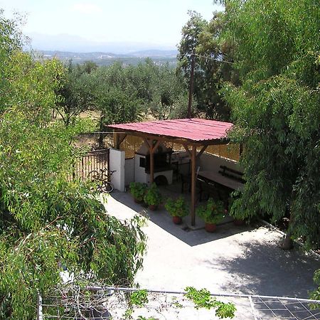 Knossos Aparthotel Pánormos Екстериор снимка